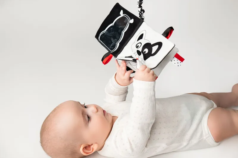 Książeczka sensoryczna Kto to? Co to? Hencz Toys