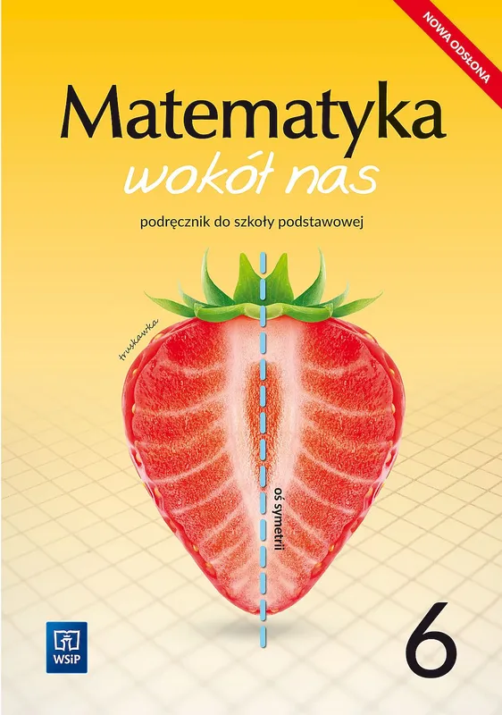Matematyka wokół nas podręcznik dla klasy 6 szkoły podstawowej