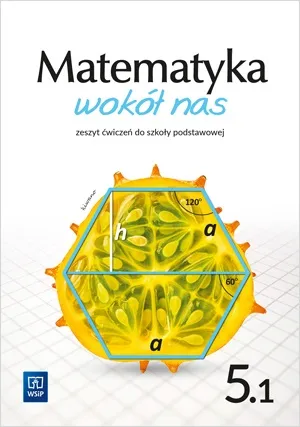Matematyka wokół nas zeszyt ćwiczeń dla klasy 5 część 1 szkoły podstawowej