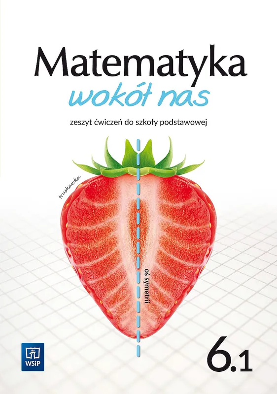 Matematyka wokół nas zeszyt ćwiczeń dla klasy 6 część 1 szkoły podstawowej