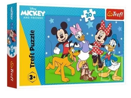 Puzzle 30 Mysie sprawy Disney Standard Characters