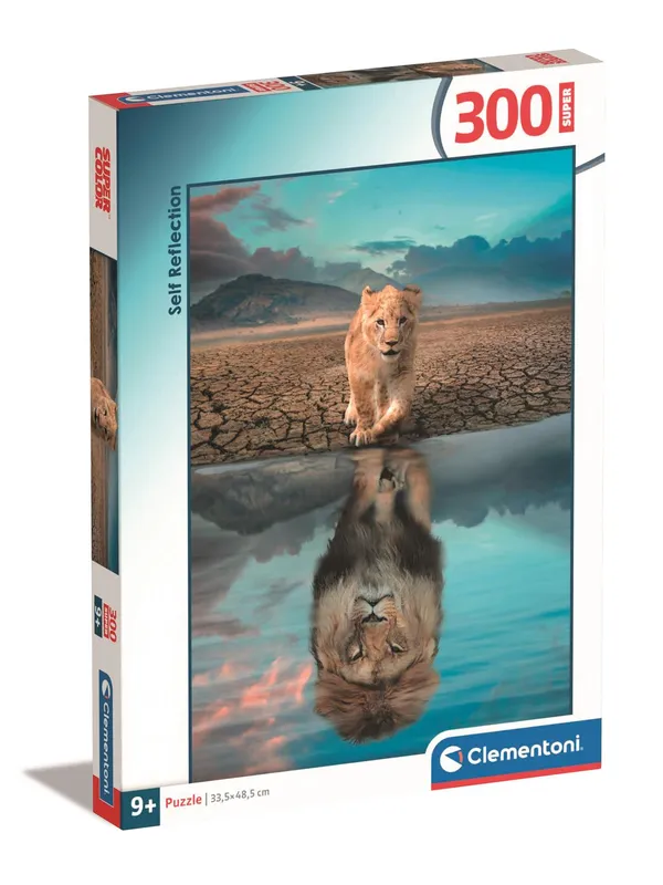 Puzzle 300 Super Self Reflection