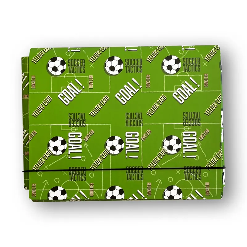 Teczka łamana A4 na gumkę Penmate Goal